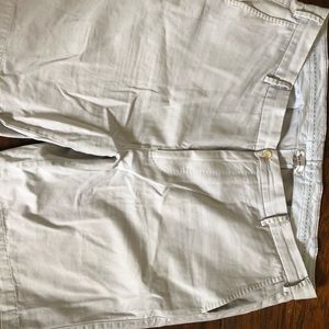 Peter Millar Shorts 40